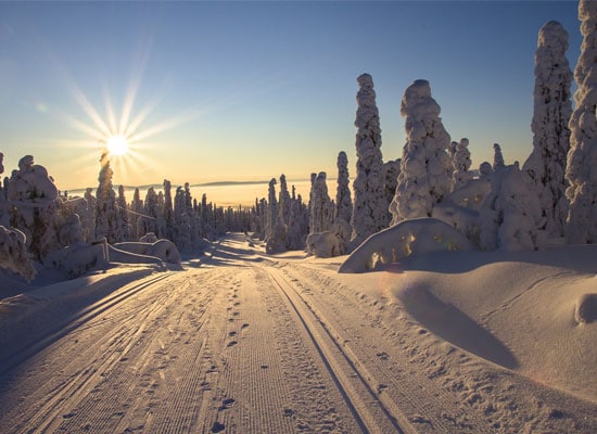 Ophtalmie des neiges