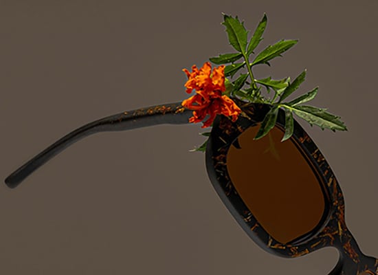 Tortoiseshell glasses frame decorated with a bright orange flower and green foliage, presented on a brown background - image to highlight for the home page